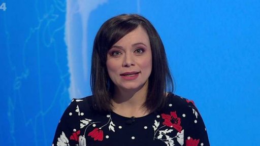 Zpravodajský servis