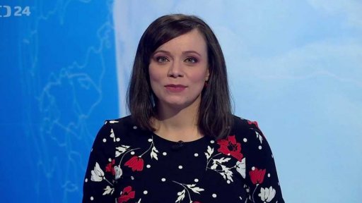 Zpravodajský servis