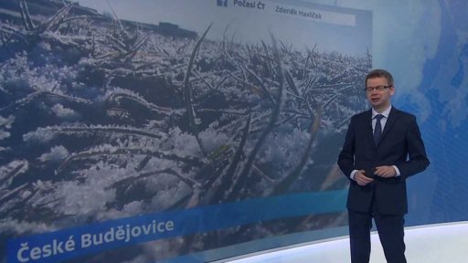 Zpravodajský servis