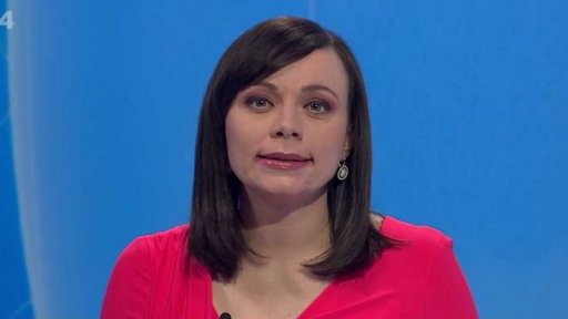 Zpravodajský servis