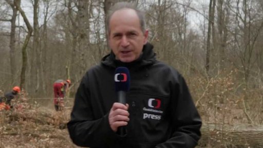 Rekonstrukce pařížské katedrály Notre Dame