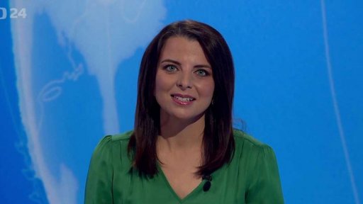 Zpravodajský servis