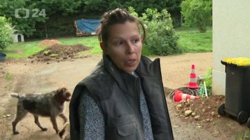 Nárůst počtu útoků psů na francouzské listonoše