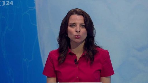 Zpravodajský servis