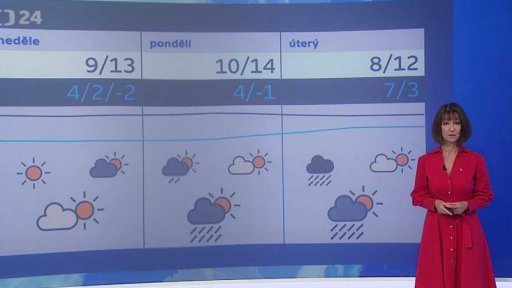 Zpravodajský servis