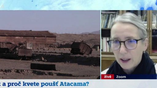 Jak a proč kvete poušť?