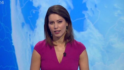 Zpravodajský servis