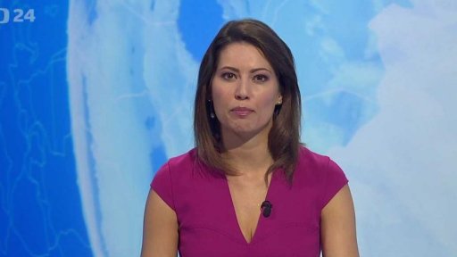 Zpravodajský servis