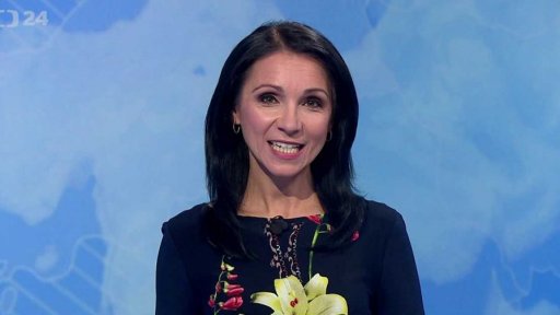 Zpravodajský servis