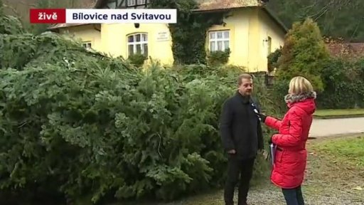 Vánoční strom pro Brno