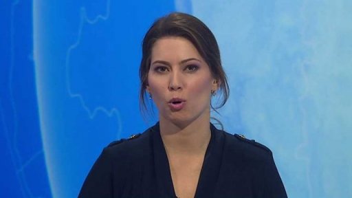 Zpravodajský servis