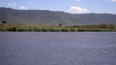 Ngorongoro