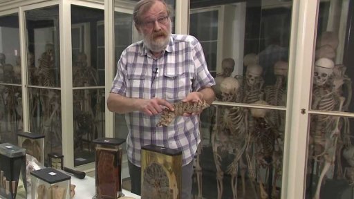 Tuberkulóza; zdravotní pojištění; neštovice