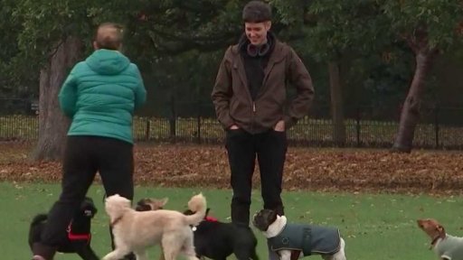 Krádeže domácích mazlíčků