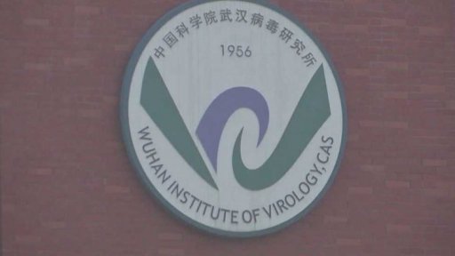 Americké pátrání po původu covidu-19 + rozhovor s J. Černým