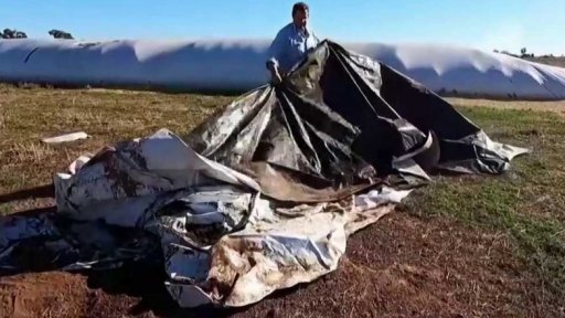 Záplava myší vyhnala vězně i jejich dozorce