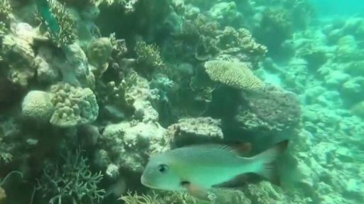 Škrty na seznamu památek UNESCO + rozhovor s P. Titzem