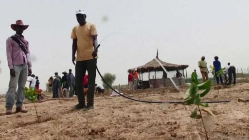 Zápas proti Sahaře