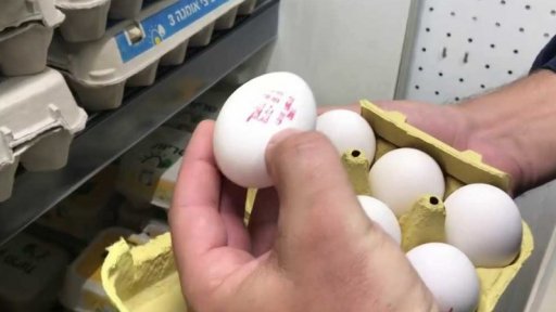 Izraelské kibucy a jejich budoucnost