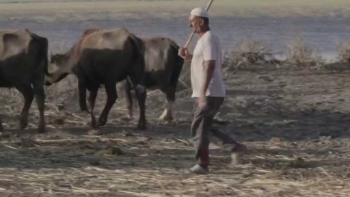 Krušný život tzv. Arabů z močálů