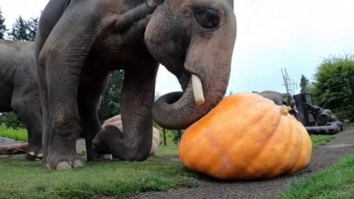 Zajímavé údaje dne