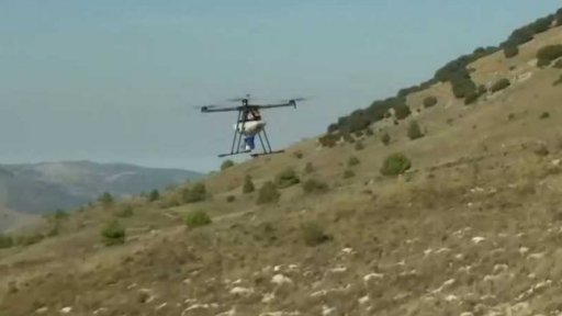 Drony, které sází stromy