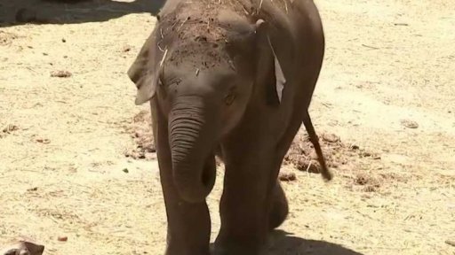 Zajímavé údaje týdne