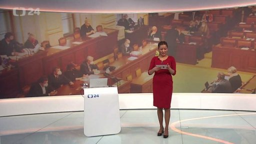 Stručný přehled témat