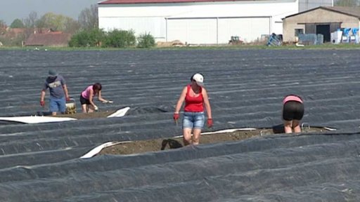 Zákon o potravinách