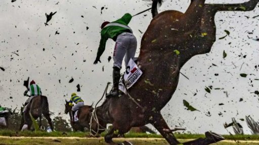 Z místa: Velká pardubická bez fotografa Romana Vondrouše