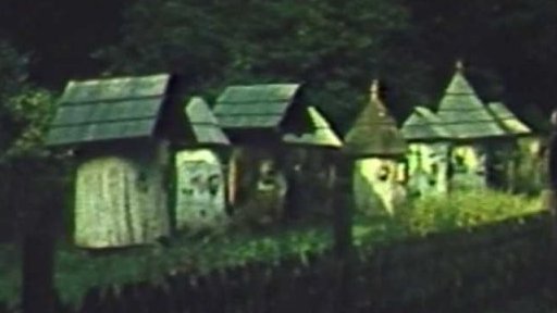 Lidové úly na Valašsku (1981)