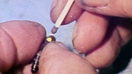 Chov včelích královen (1983)