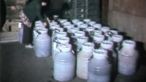 Zpracovatelský závod Včela Předboj (1984)