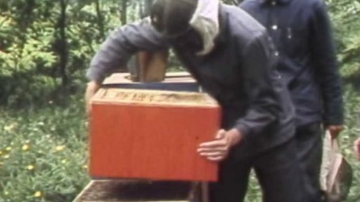 Učební obor ovocnář, včelař (1985)