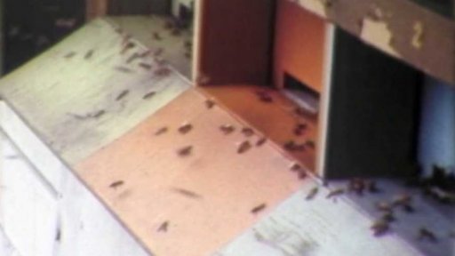 Pojízdné úly (1986)