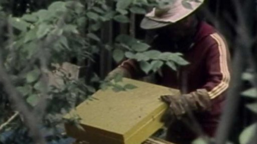 Víkendové včelaření (1987)