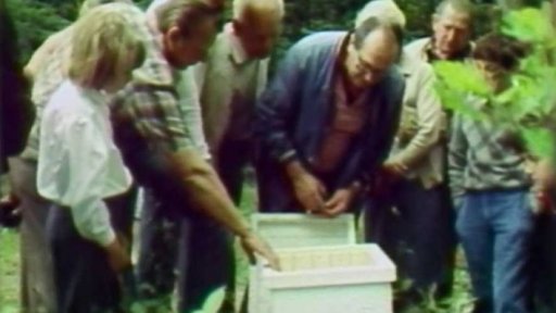 Pojízdný včelín u Nechanic (1988)