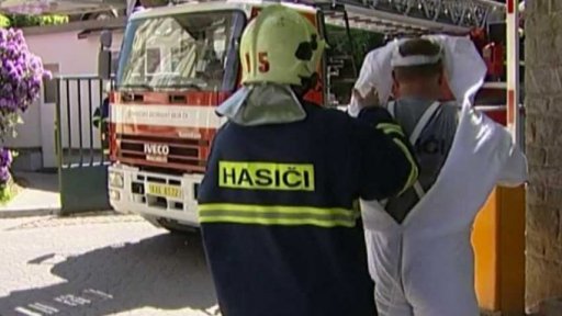 Jak hasiči likvidují roje (2006)