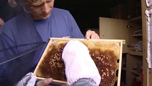 Dotace pro včelaře (2009)