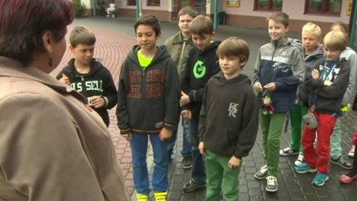 Včely jako učební pomůcka (2013)