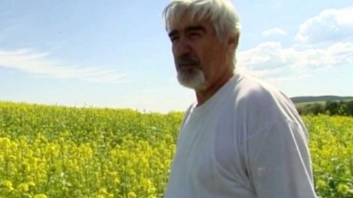 Uhynulé včely na Lounsku (2014)