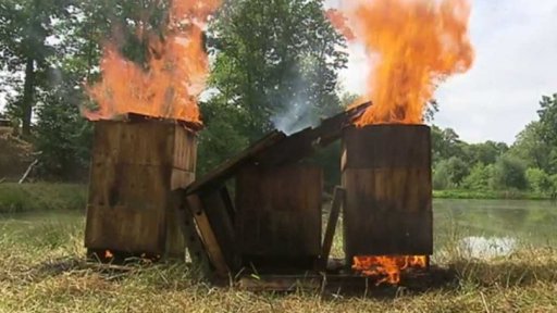 Včelí mor ničí úly i vybavení včelařů (2014)