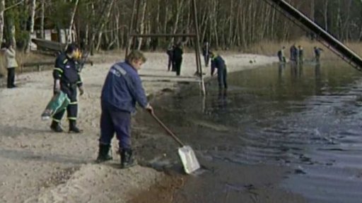 Mastná černá skvrna na mělčině u břehu Máchova jezera (2001)