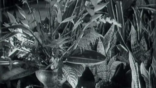 Prodejní expozice podniku Sempra (1974)