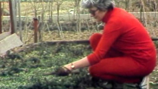 Zahrádkářská kolonie nedaleko Loštic vznikla z iniciativy MNV (1985)