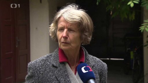 Dvorek Všehrdova 11