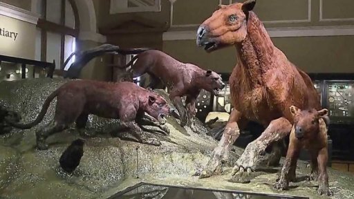 Národní muzeum otevřelo Okna do pravěku