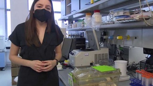 Koronavirus: dvojité protilátky