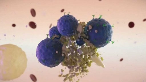 Transplantace kostní dřeně a nový způsob léčby leukémie