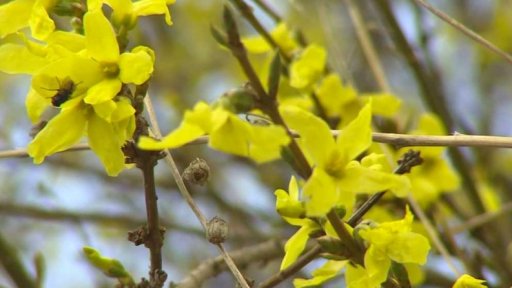 Rekordně teplý rok 2020 v Evropě